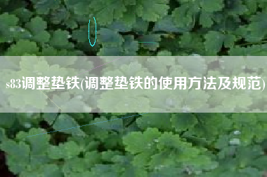 s83<a href='http://www.dct168.com/jichuangdiantiexilie/' target='_blank' title='調(diào)整墊鐵' ><strong>調(diào)整墊鐵</strong></a>(調(diào)整墊鐵的使用方法及規(guī)范)